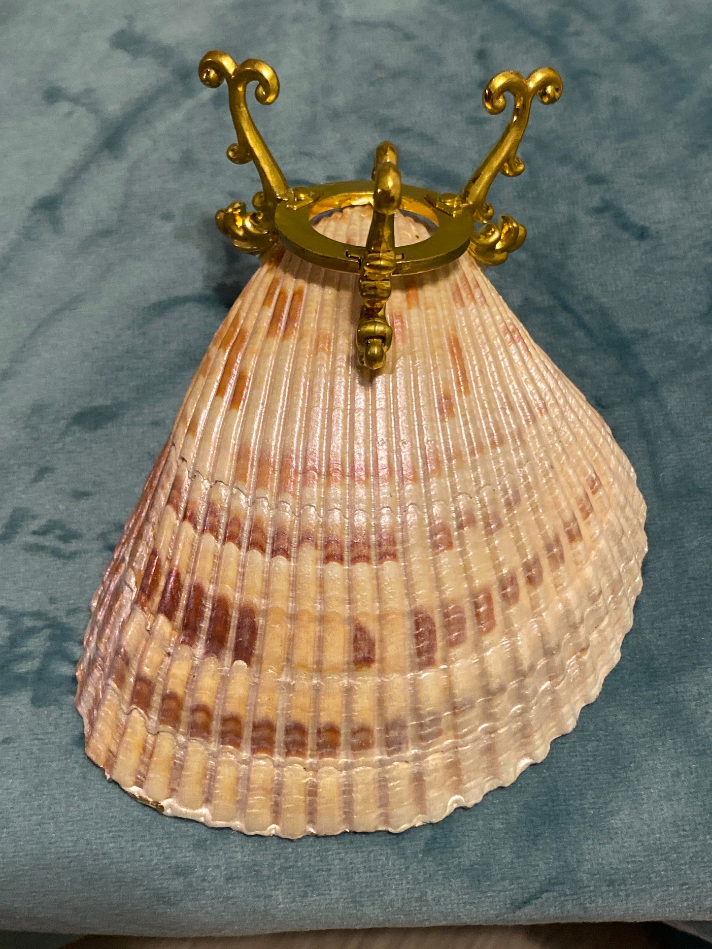 Seahorse on stand -large cockle shell