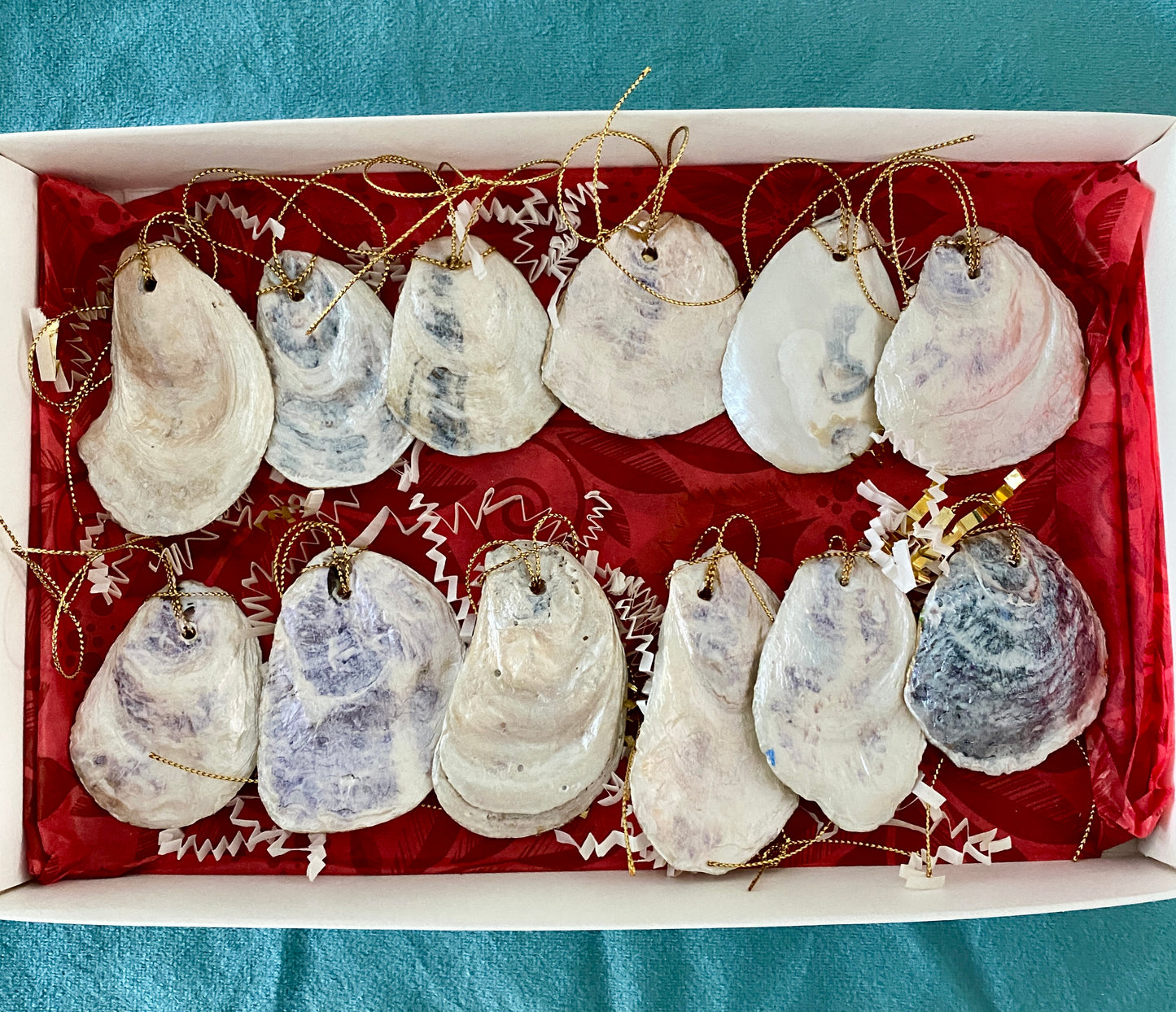 12 Days of Christmas- Flat oyster