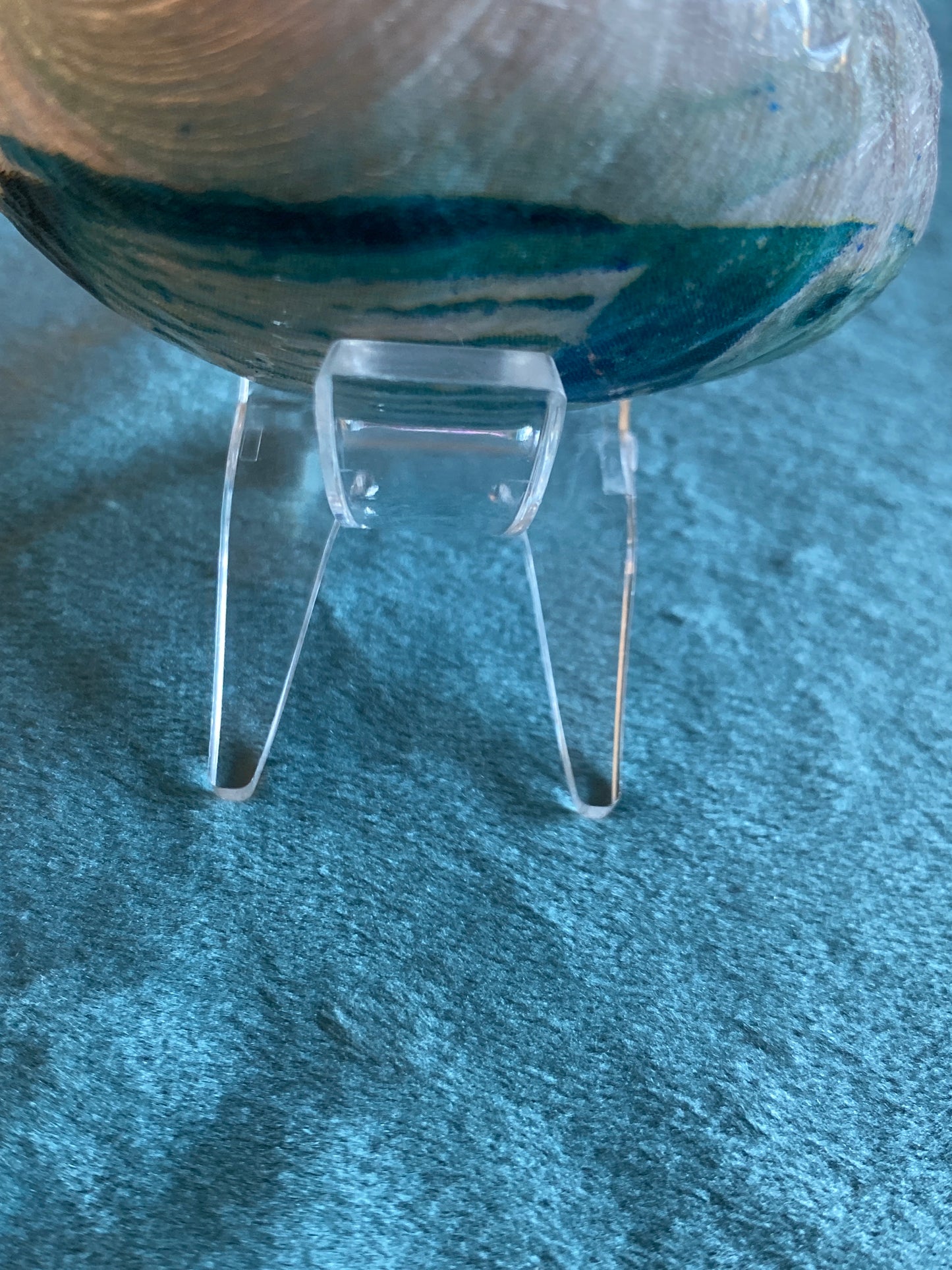 Seaweed with Fish on back- dish on stand