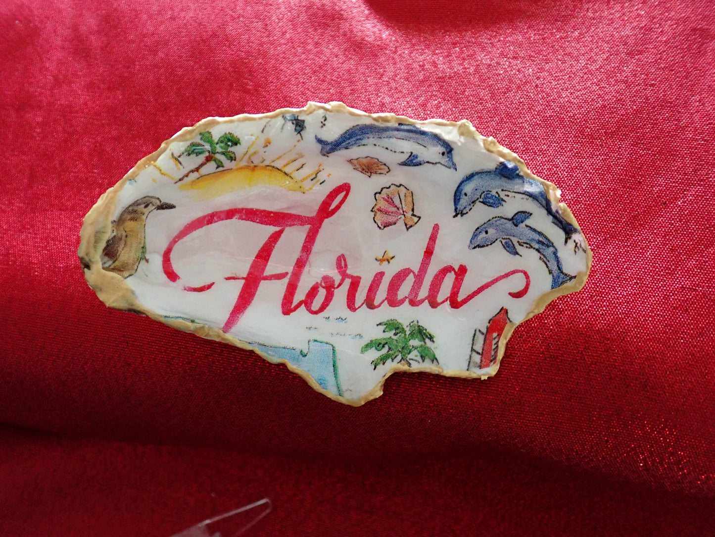 Florida with stand- Oyster Shell