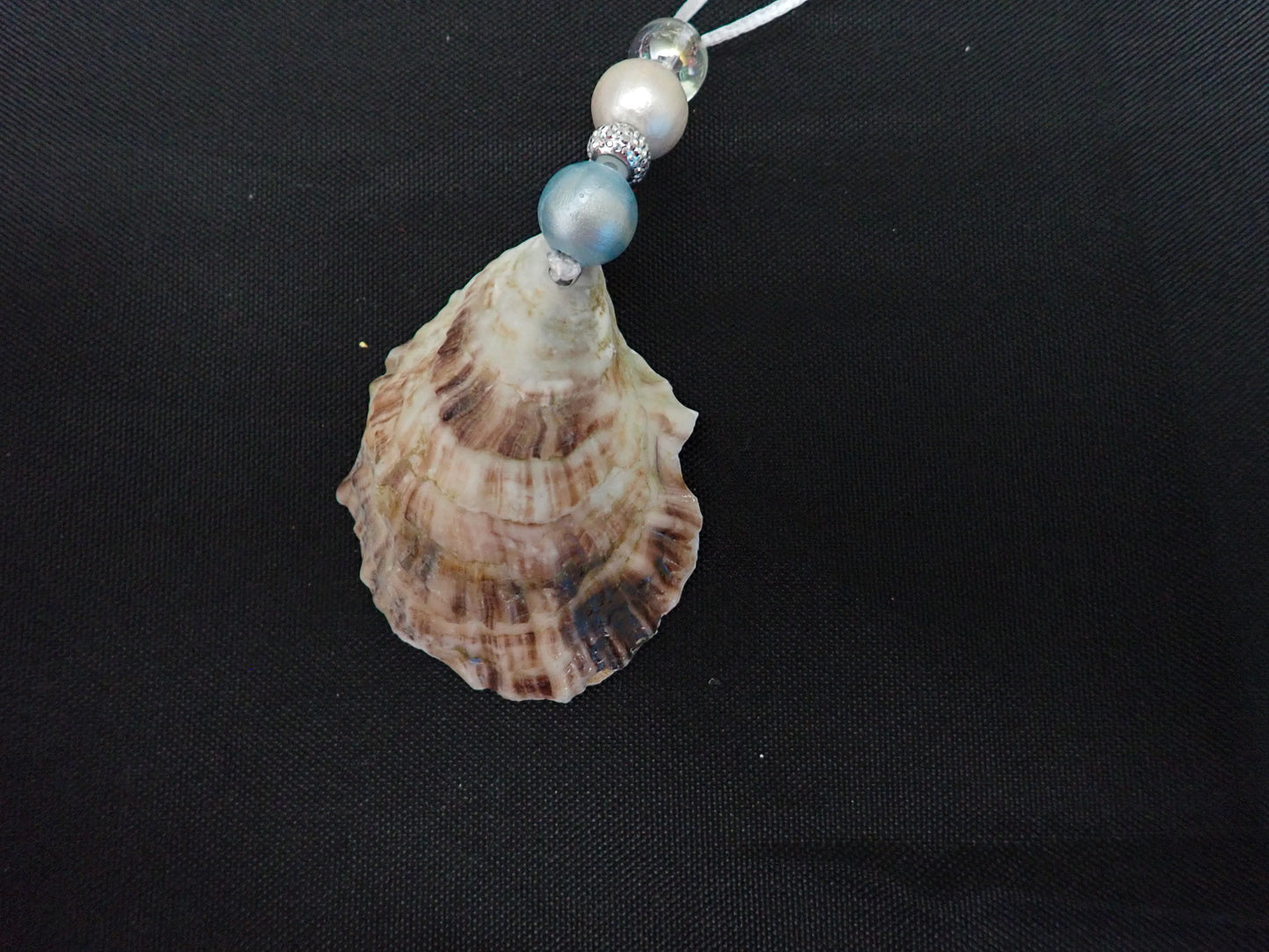 Dreidel- on oyster shell