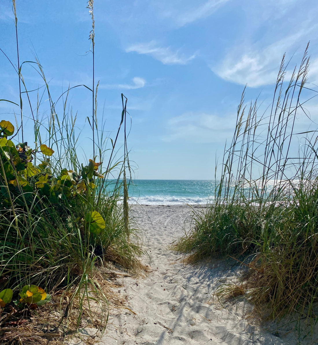 Saltwater Treasures by Kris