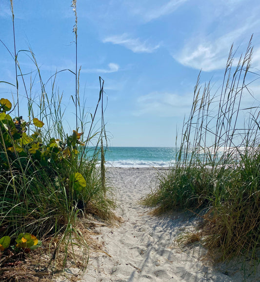 Saltwater Treasures by Kris