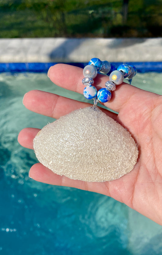 “Sparkle” on clam shell