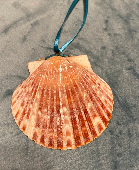 Blue Crab- with Brass crab charm- scallop shell