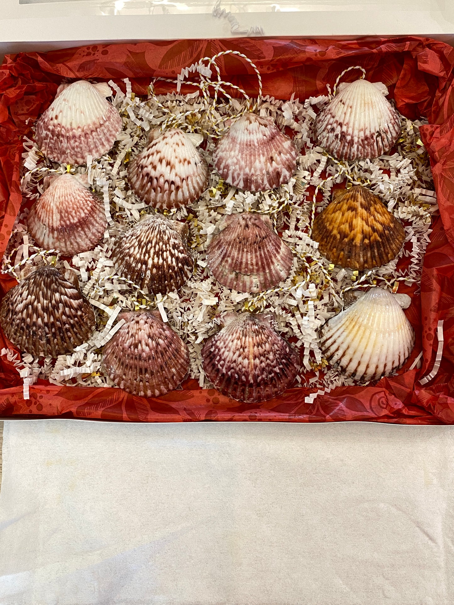 12 Days of Christmas- scallops