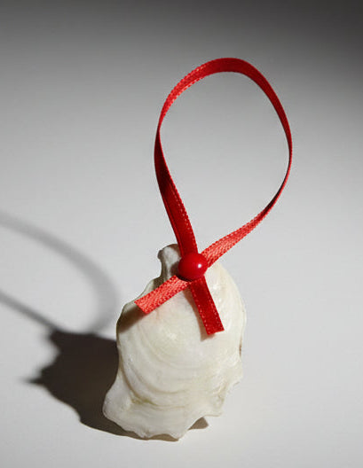 Nutcracker- Red on small oyster shell