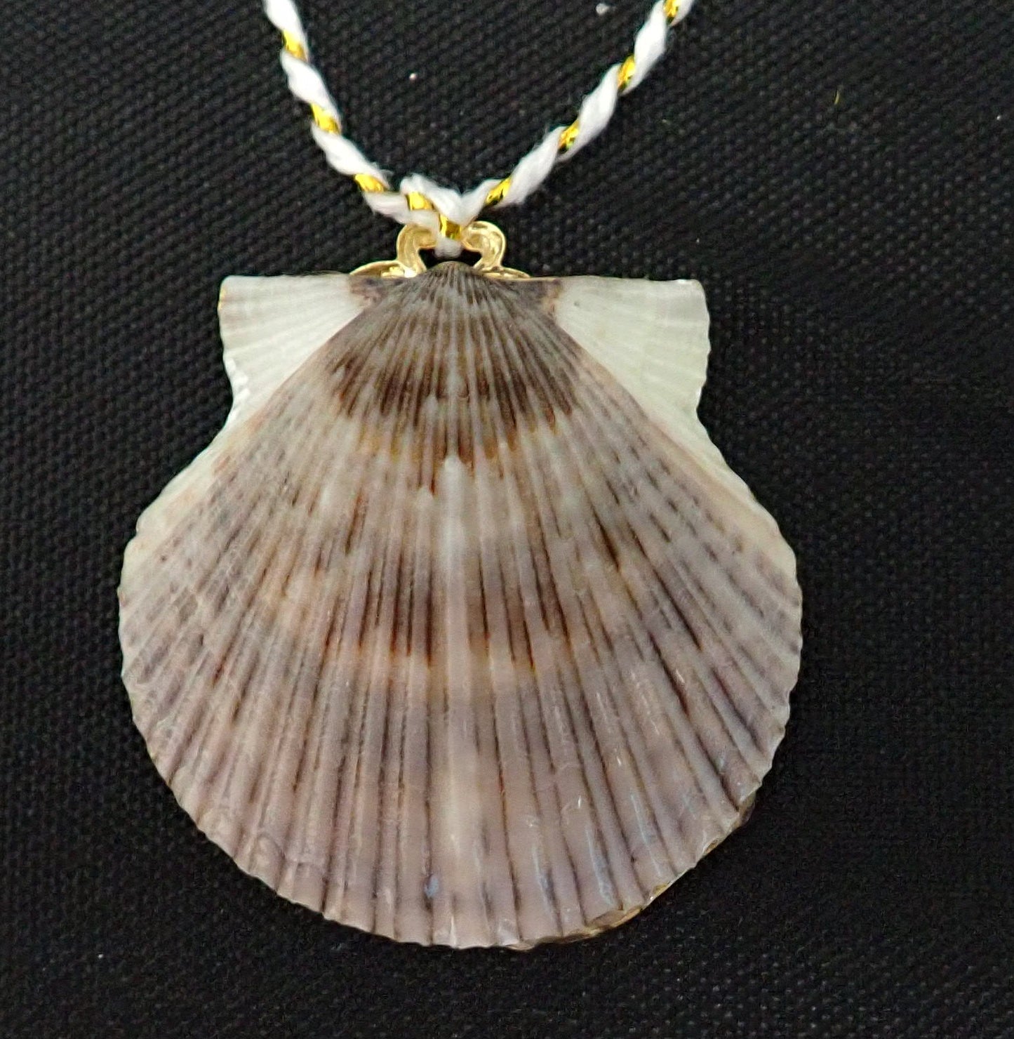 owl with red hat- on small scallop shell