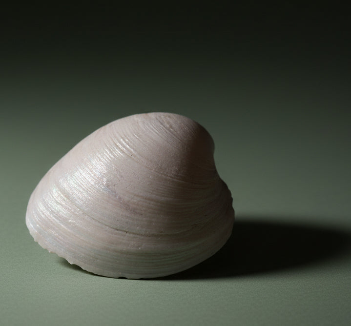 Grinch Design- large clam with stand